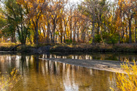 Autumn walk